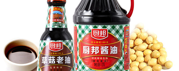 廚邦美味否--試析中炬高新投資價值(一)