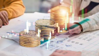 金融與投資培訓(xùn)課程安排