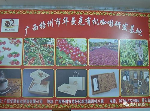 大力發(fā)展文化生態(tài)旅游產(chǎn)業(yè) 打造經(jīng)濟發(fā)展新常態(tài)