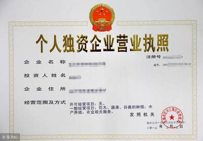 什么是個人獨資企業(yè),未來會有越來越多的個人公司?