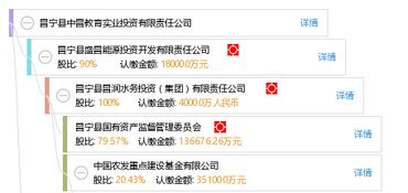昌寧縣中昌教育實業(yè)投資有限責任公司