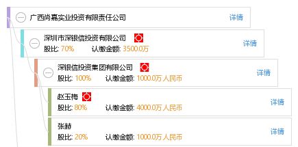 廣西尚嘉實業(yè)投資有限責任公司