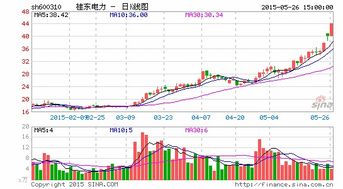 桂東電力 實業(yè)投資一地雞毛 股權(quán)激勵難掩隱憂
